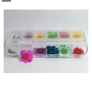 Caja Decorativa Naturaleza Muerta Girasol