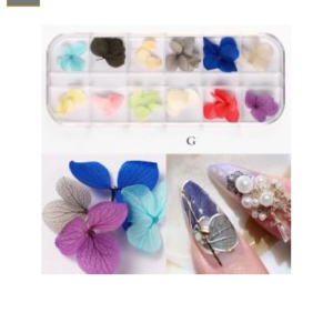 Caja Decorativa Naturaleza Muerta Hojas