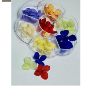 Carrusel Naturaleza Muerta Colores Primarios