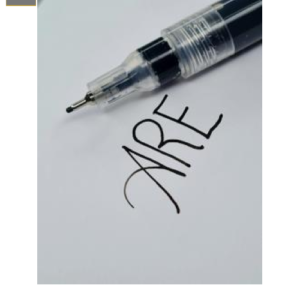 Lapiz Sharpie Negro