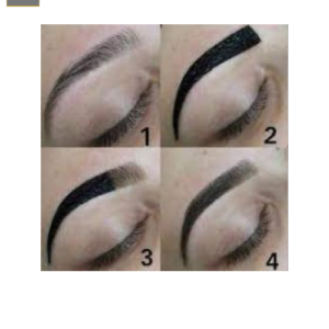 Taller Diseño Cejas con Color