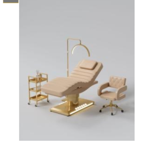 Camilla Electrica Premium 3 Motores